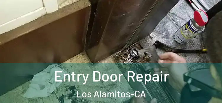  Entry Door Repair Los Alamitos-CA